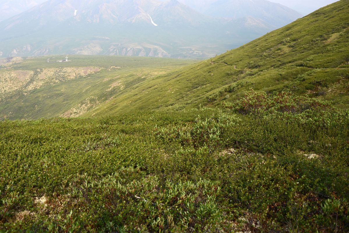 10B View Back To Beginning Of Goldensides Trail In Tombstone Park Yukon